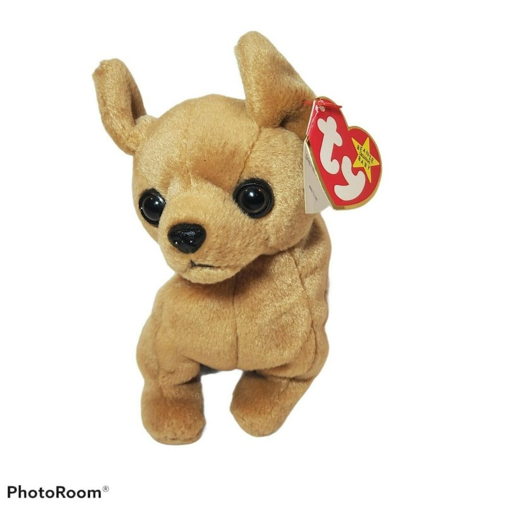 TY Beanie Baby Tiny The Chihuahua With Tag with Errors Retired Error